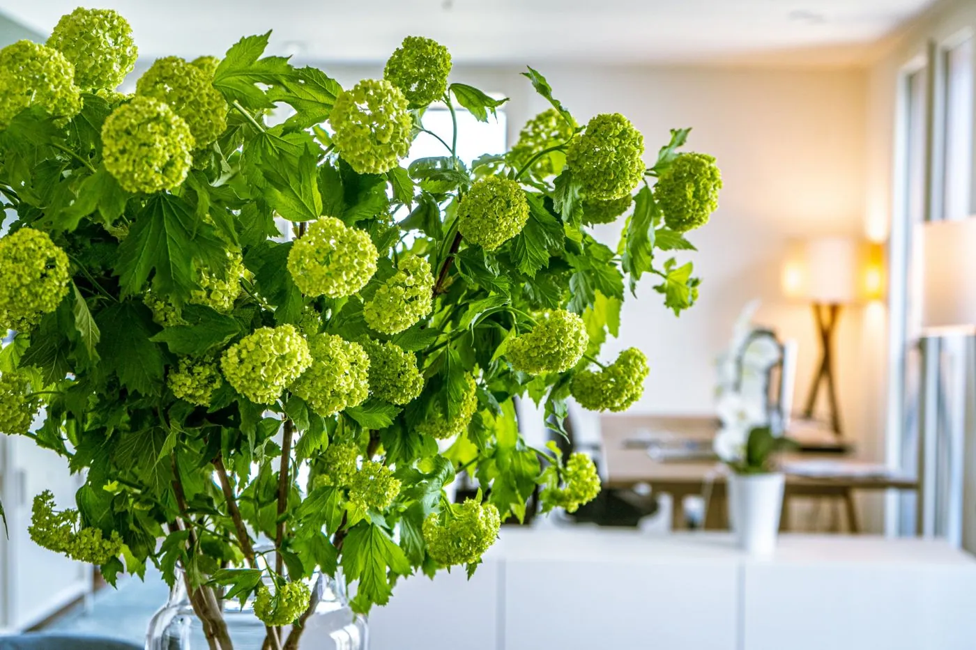Blumen in einem hellen Büro